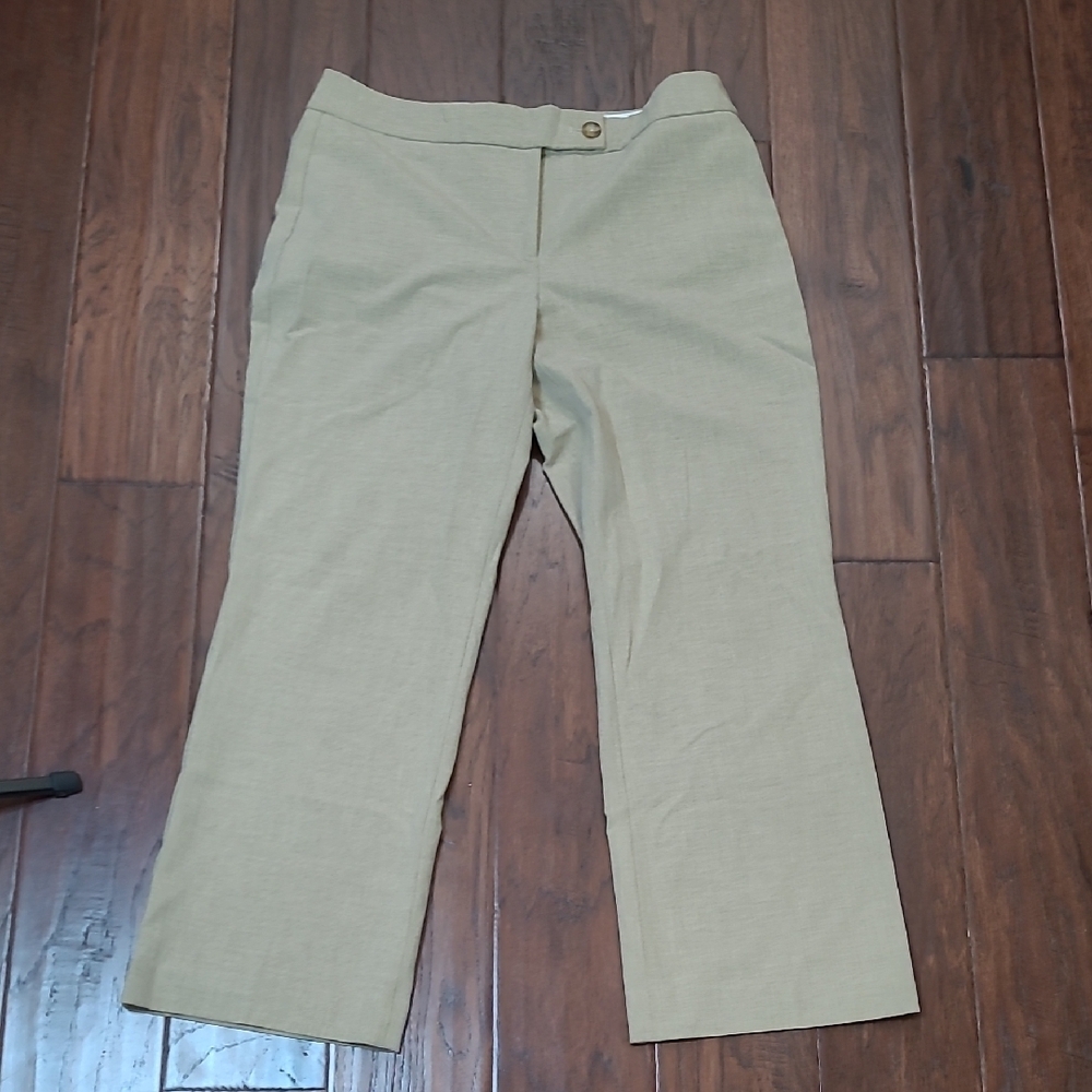 Talbots Goldish Tan Blend Trousers size 6